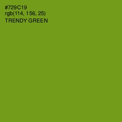 #729C19 - Trendy Green Color Image